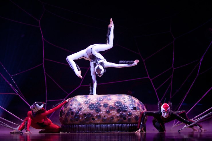 Cirque du Soleil, Ovo (ph no credito)